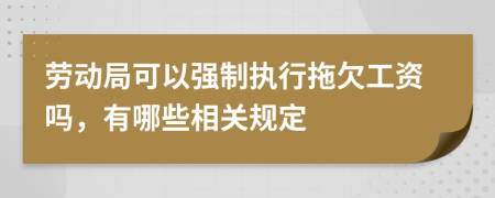 劳动局可以强制执行拖欠工资吗，有哪些相关规定