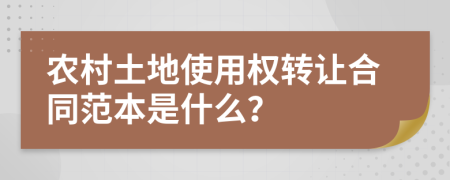 农村土地使用权转让合同范本是什么？