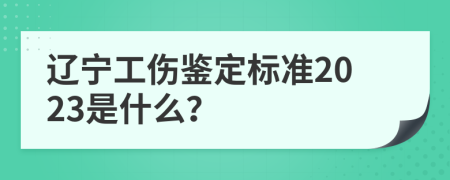 辽宁工伤鉴定标准2023是什么？