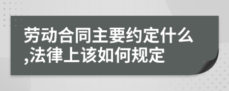 劳动合同主要约定什么,法律上该如何规定