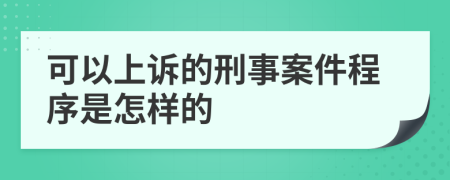 可以上诉的刑事案件程序是怎样的