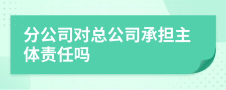 分公司对总公司承担主体责任吗