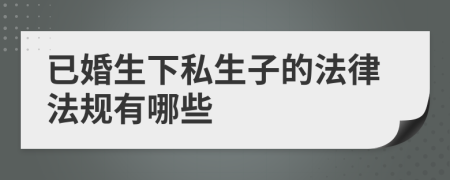 已婚生下私生子的法律法规有哪些