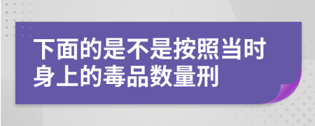 下面的是不是按照当时身上的毒品数量刑