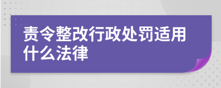 责令整改行政处罚适用什么法律