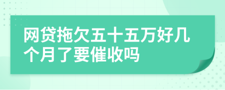 网贷拖欠五十五万好几个月了要催收吗