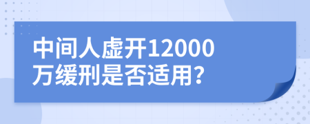 中间人虚开12000万缓刑是否适用？