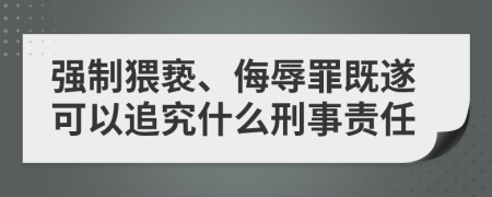 强制猥亵、侮辱罪既遂可以追究什么刑事责任