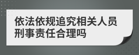 依法依规追究相关人员刑事责任合理吗