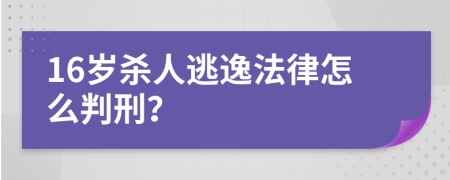 16岁杀人逃逸法律怎么判刑？