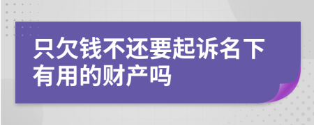 只欠钱不还要起诉名下有用的财产吗