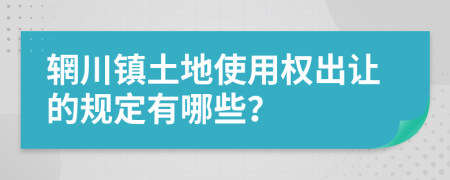 辋川镇土地使用权出让的规定有哪些？