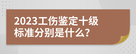 2023工伤鉴定十级标准分别是什么？