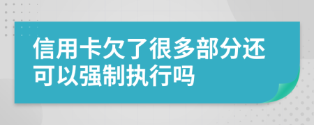 信用卡欠了很多部分还可以强制执行吗