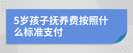 5岁孩子抚养费按照什么标准支付