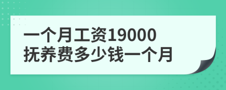 一个月工资19000抚养费多少钱一个月