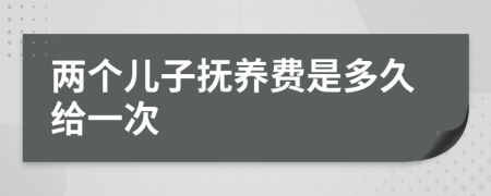 两个儿子抚养费是多久给一次