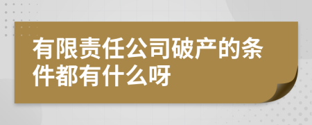 有限责任公司破产的条件都有什么呀