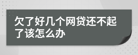 欠了好几个网贷还不起了该怎么办