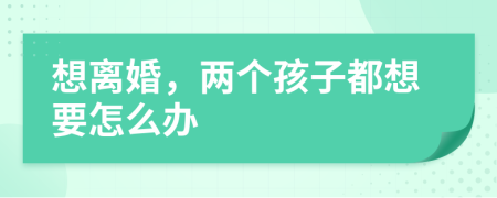 想离婚，两个孩子都想要怎么办
