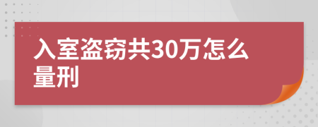 入室盗窃共30万怎么量刑