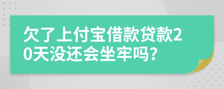 欠了上付宝借款贷款20天没还会坐牢吗？