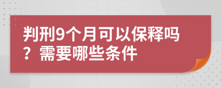 判刑9个月可以保释吗？需要哪些条件