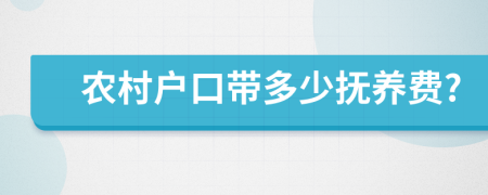 农村户口带多少抚养费?