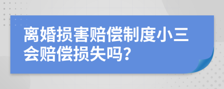 离婚损害赔偿制度小三会赔偿损失吗？