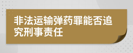 非法运输弹药罪能否追究刑事责任