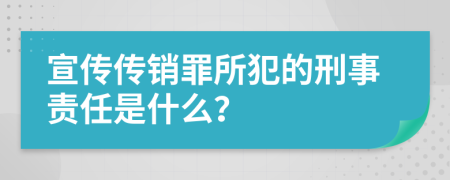 宣传传销罪所犯的刑事责任是什么？