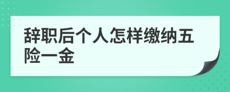 辞职后个人怎样缴纳五险一金