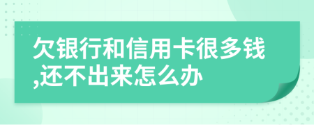 欠银行和信用卡很多钱,还不出来怎么办