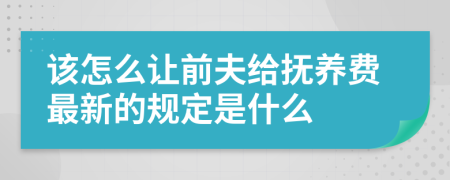 该怎么让前夫给抚养费最新的规定是什么