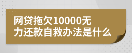 网贷拖欠10000无力还款自救办法是什么