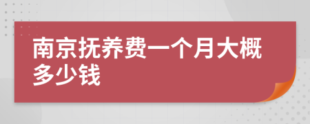 南京抚养费一个月大概多少钱