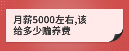 月薪5000左右,该给多少赡养费