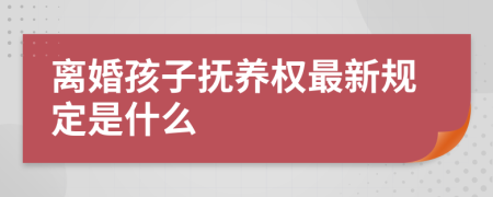 离婚孩子抚养权最新规定是什么