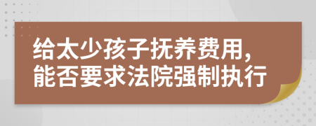 给太少孩子抚养费用,能否要求法院强制执行