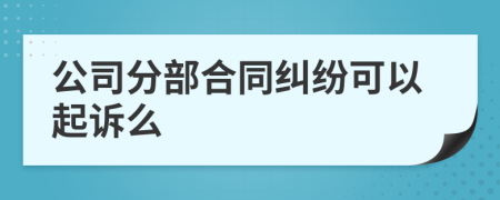 公司分部合同纠纷可以起诉么