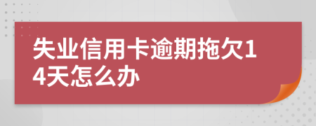 失业信用卡逾期拖欠14天怎么办