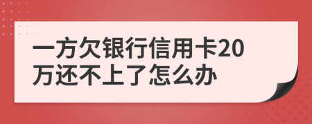 一方欠银行信用卡20万还不上了怎么办