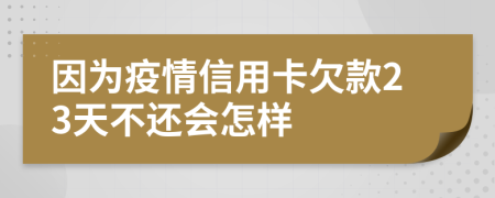 因为疫情信用卡欠款23天不还会怎样