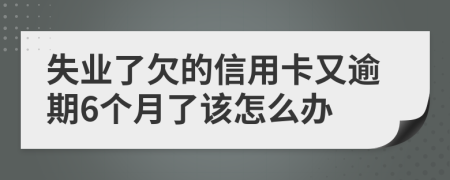 失业了欠的信用卡又逾期6个月了该怎么办