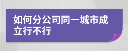 如何分公司同一城市成立行不行