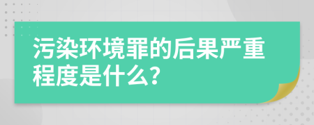 污染环境罪的后果严重程度是什么？