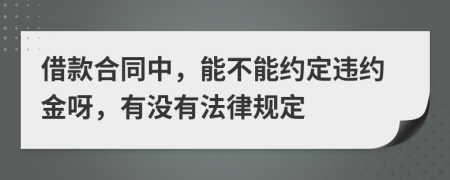 借款合同中，能不能约定违约金呀，有没有法律规定