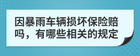 因暴雨车辆损坏保险赔吗，有哪些相关的规定