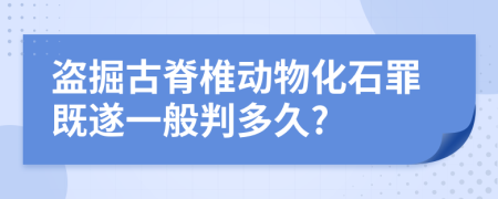 盗掘古脊椎动物化石罪既遂一般判多久?