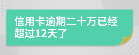 信用卡逾期二十万已经超过12天了